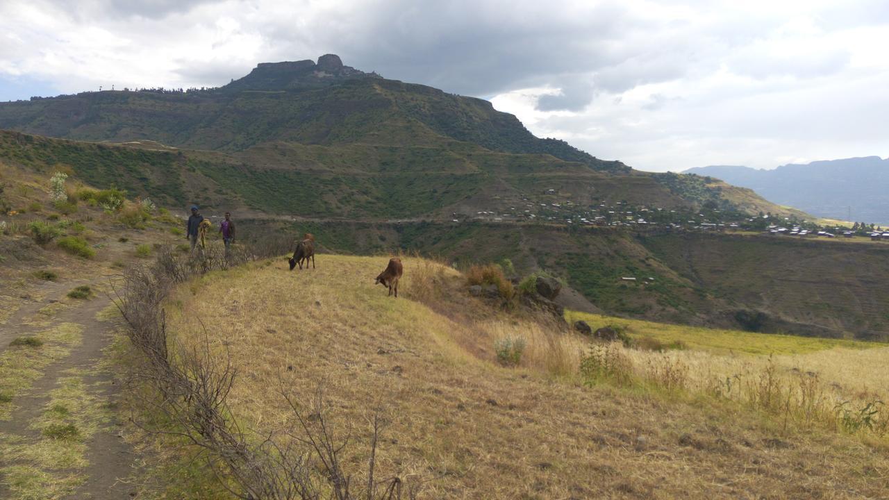 Zan-Seyoum Hotel Lalibela Ngoại thất bức ảnh