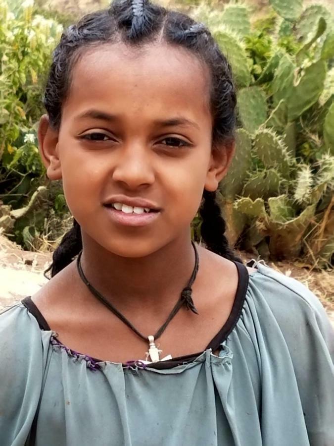 Zan-Seyoum Hotel Lalibela Ngoại thất bức ảnh
